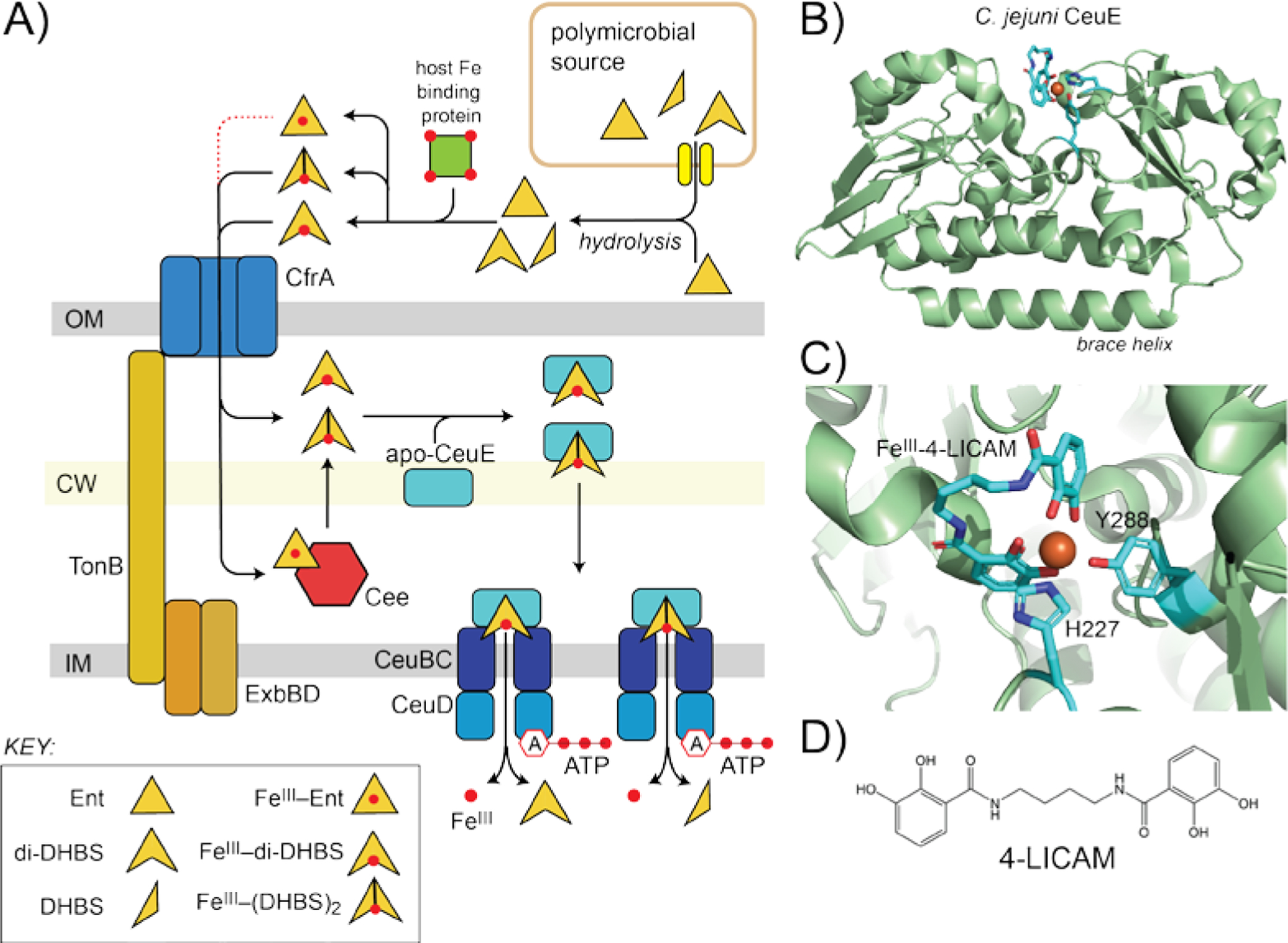 Figure 4.