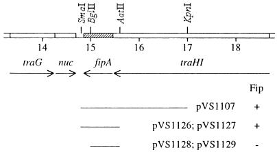 FIG. 1