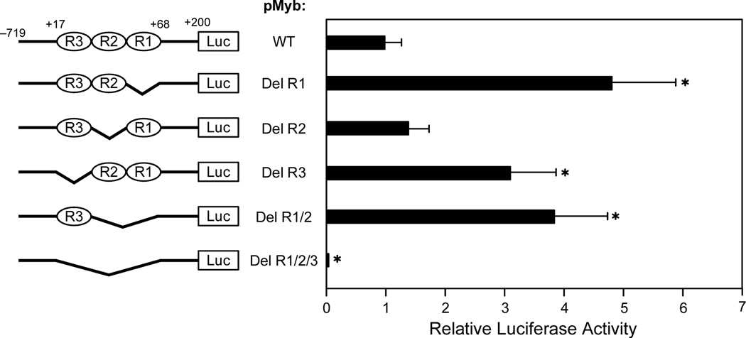 Figure 13