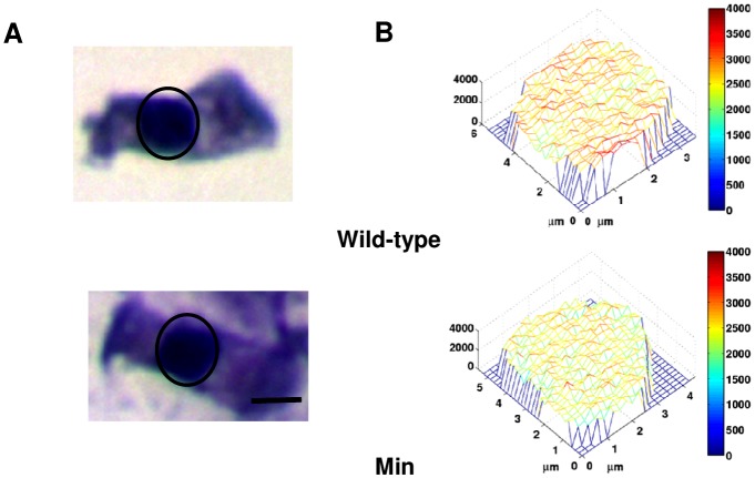 Fig. 4