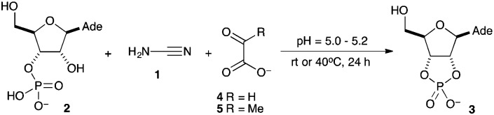 Scheme 1