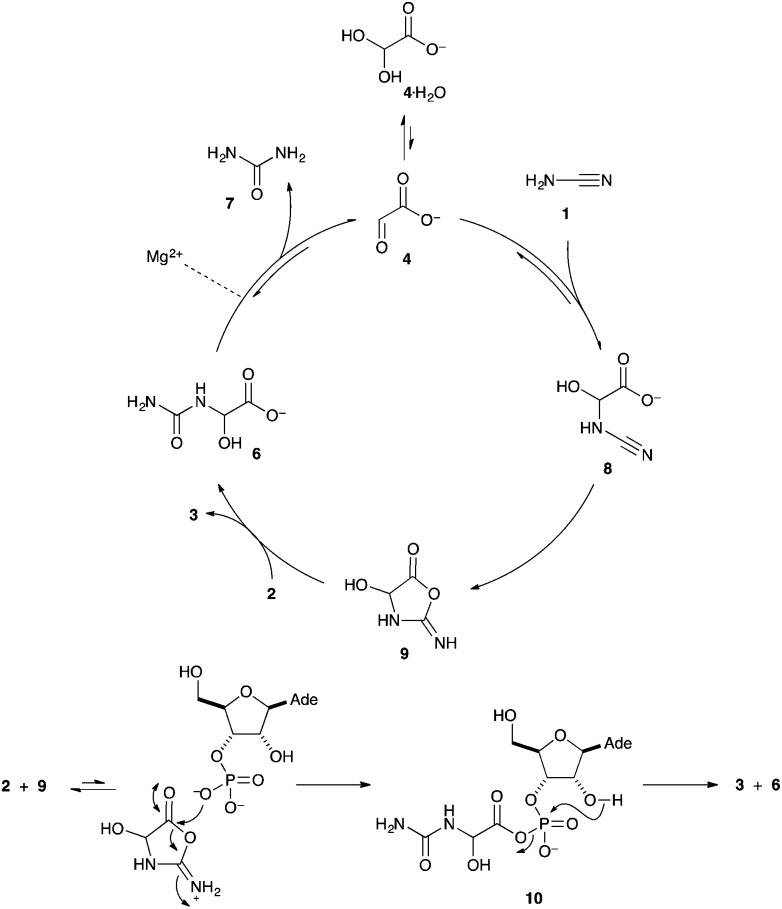 Scheme 2