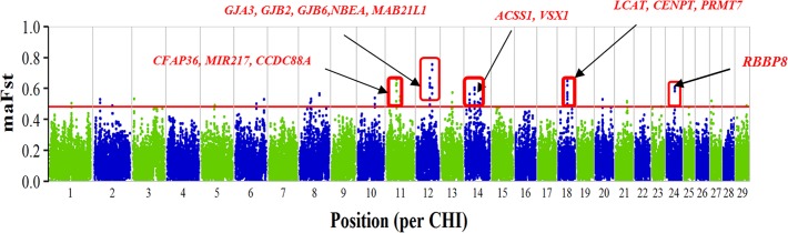 FIGURE 1