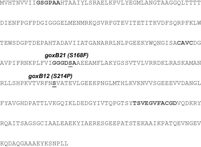 FIGURE 3