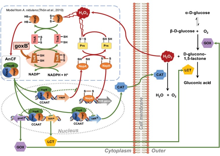 FIGURE 7