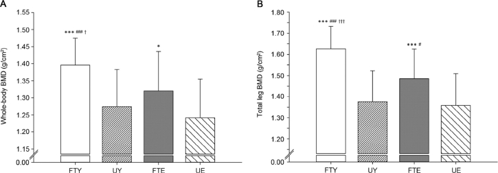 Fig. 1