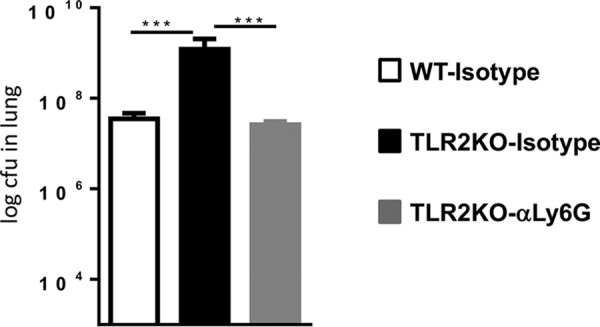 FIG 6