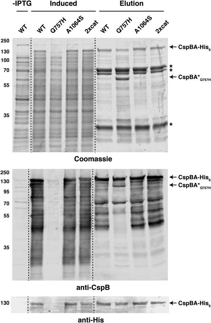 Figure 5.