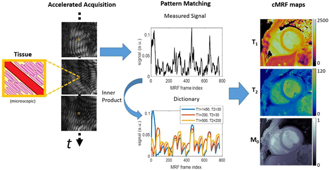 graphic file with name nihms-1648805-f0003.jpg