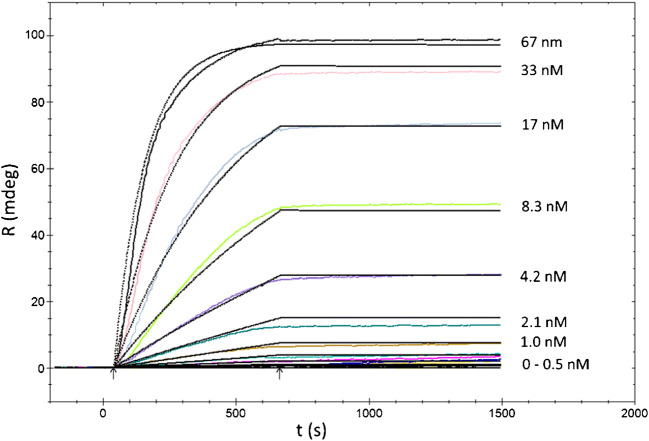 Fig. 1