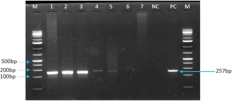 Figure 3