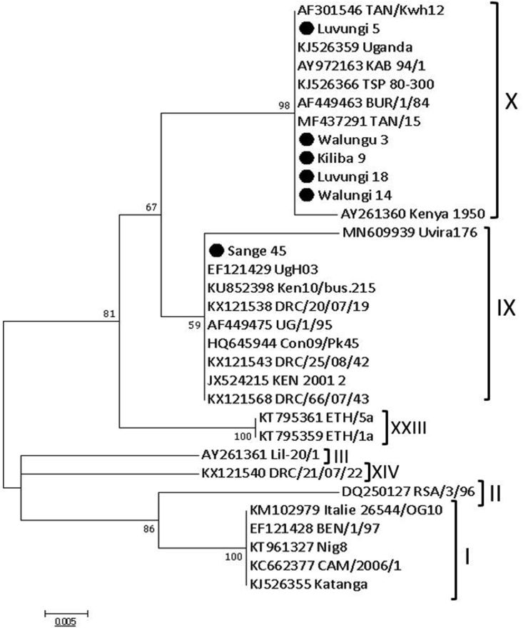 Figure 4