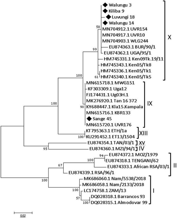 Figure 5