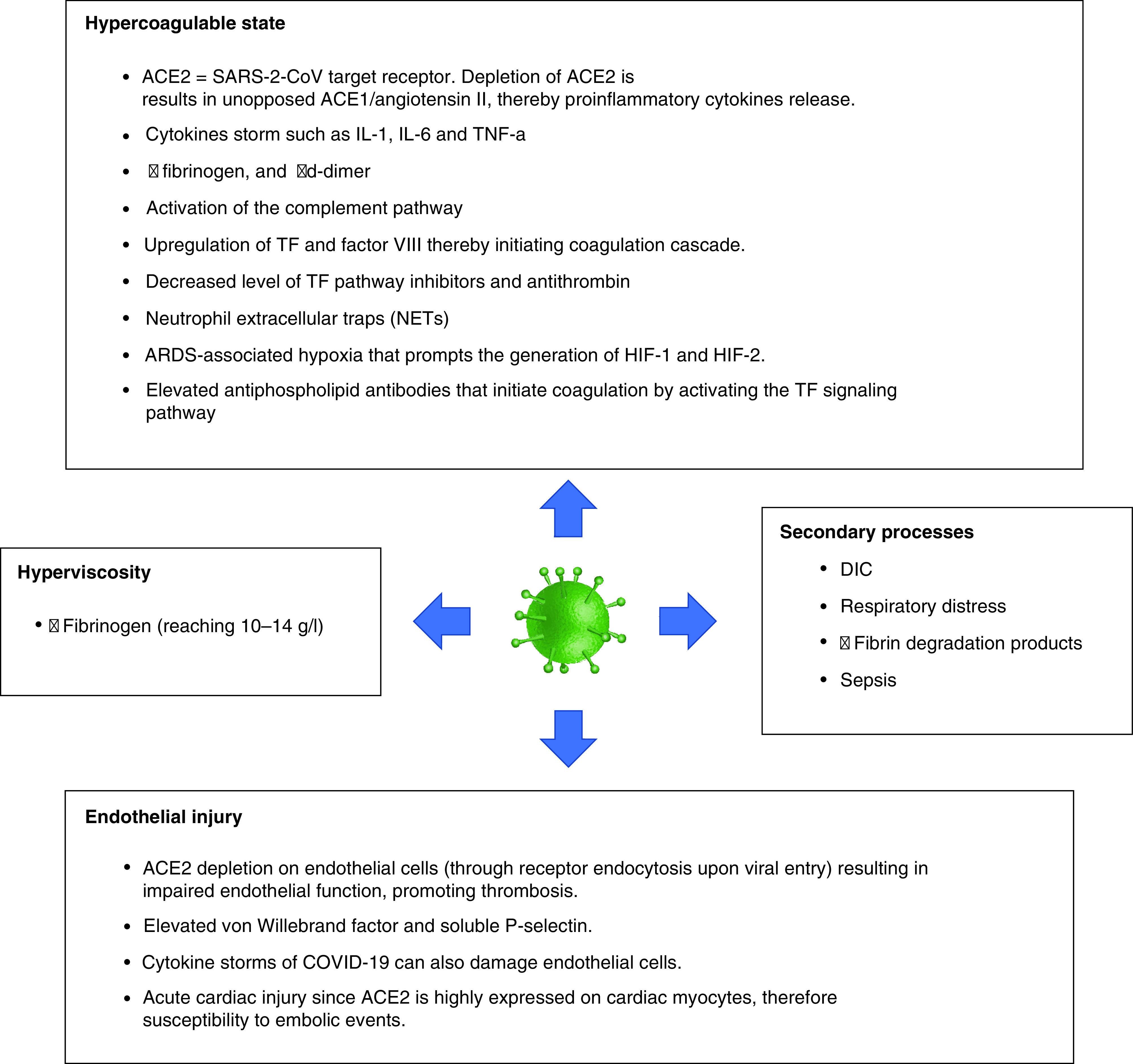 Figure 5. 