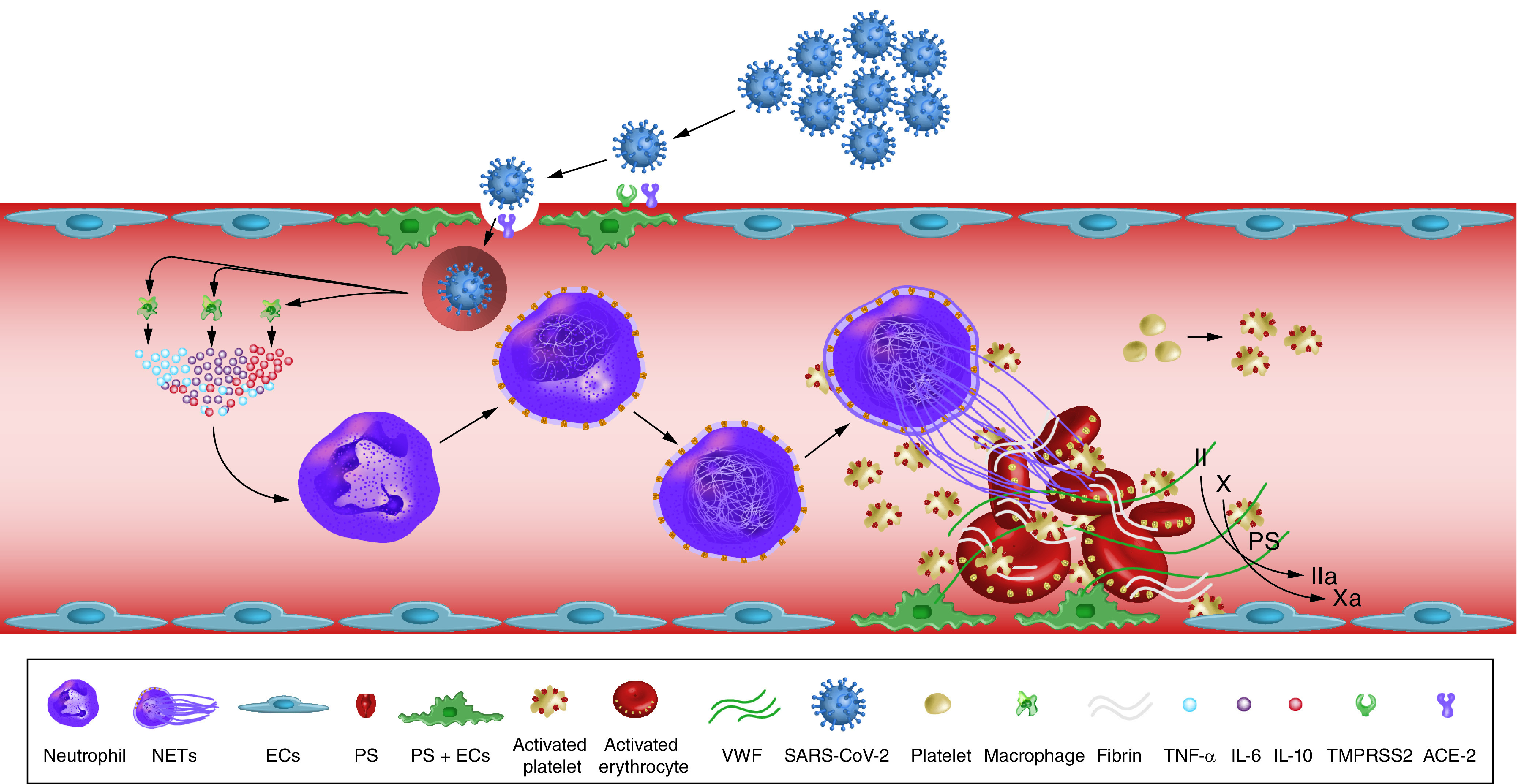 Figure 4. 