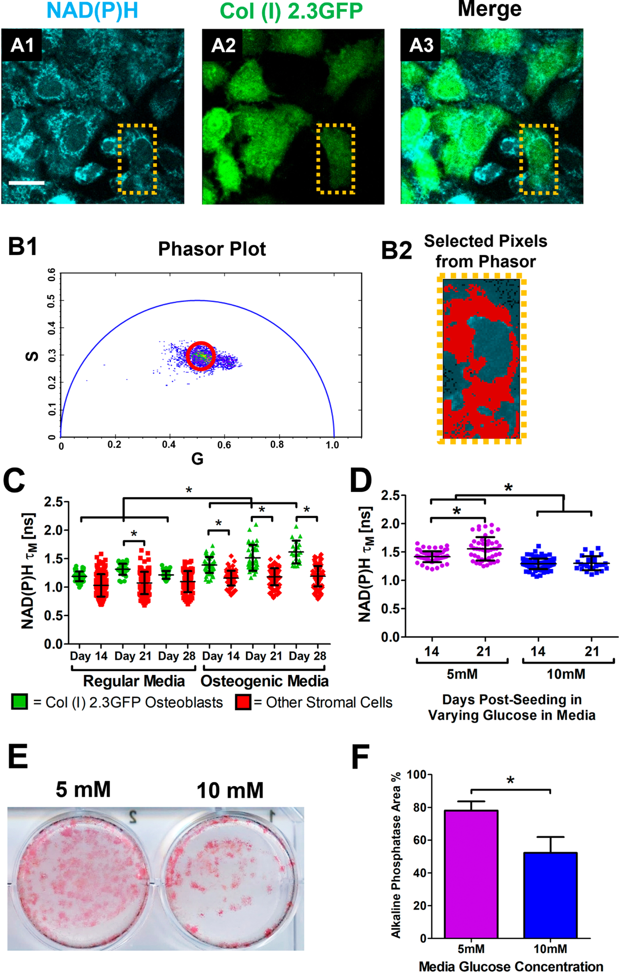 Fig. 4.