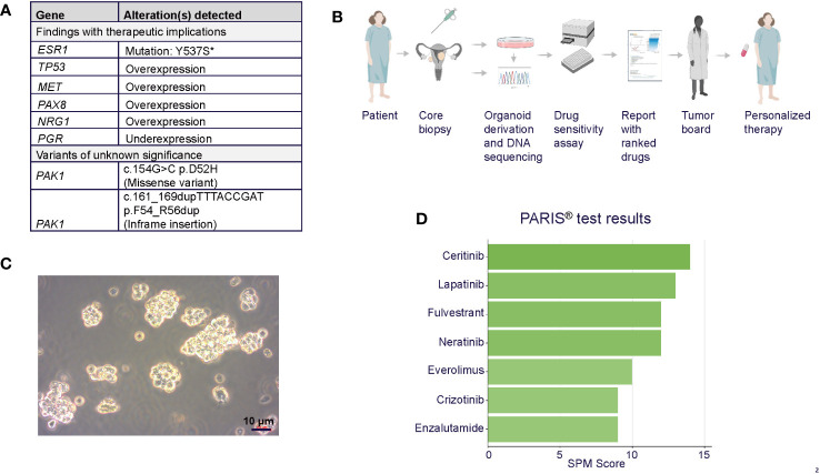 Figure 2