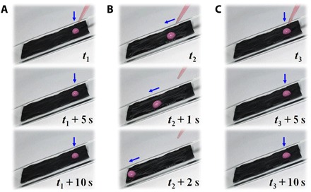 Fig. 3