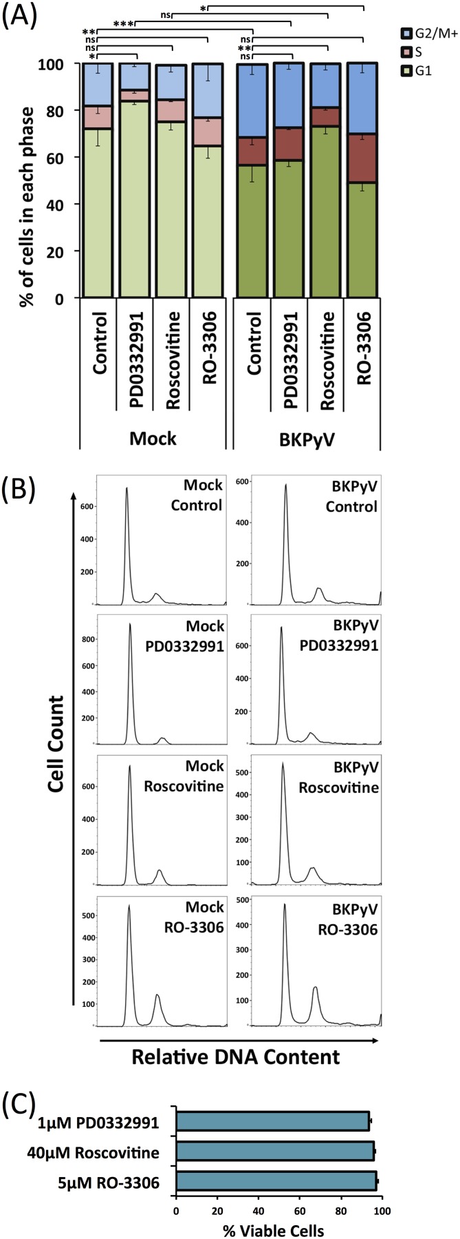 FIG 8