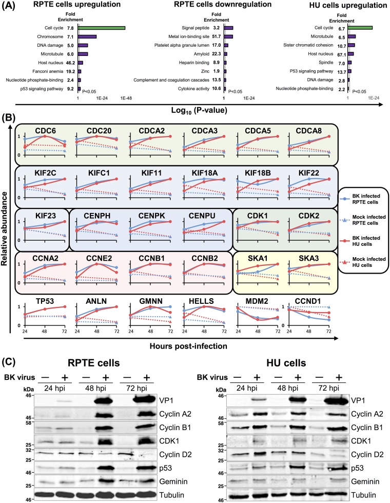 FIG 6