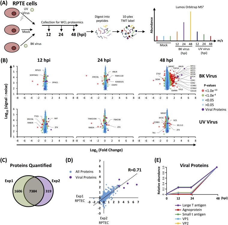 FIG 2