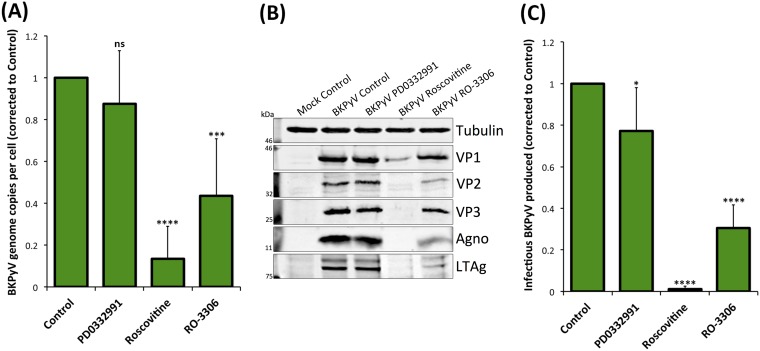 FIG 9