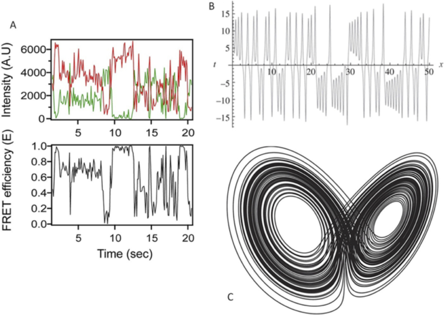 Fig. 5: