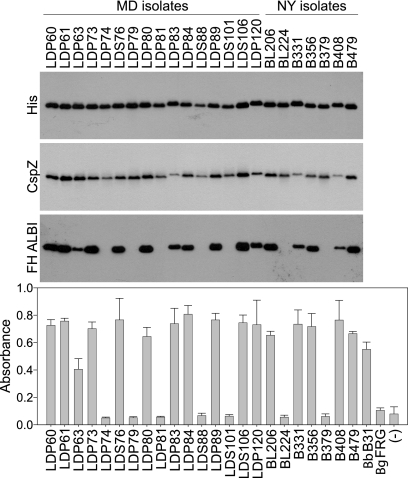 FIG. 2.