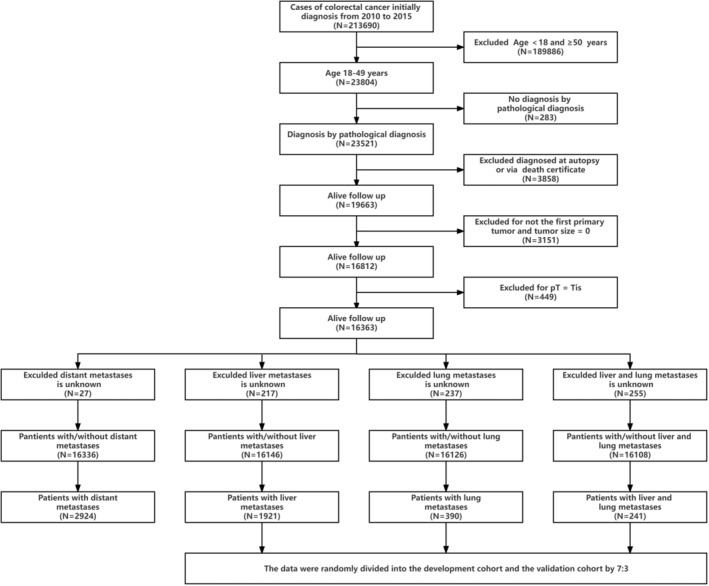 FIGURE 1