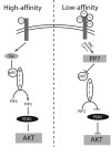 Fig. 16