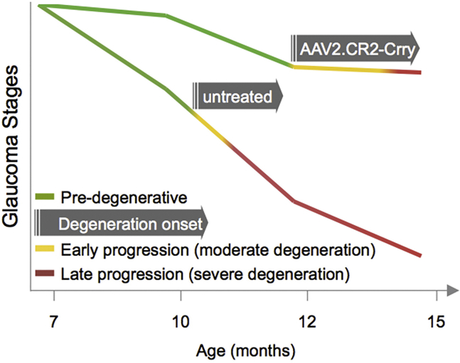 Figure 5