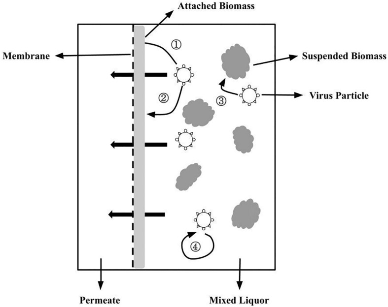 Fig. 10