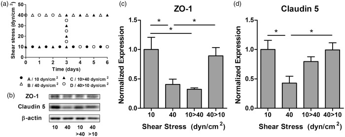 Figure 5.