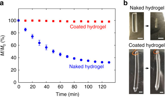 Fig. 10