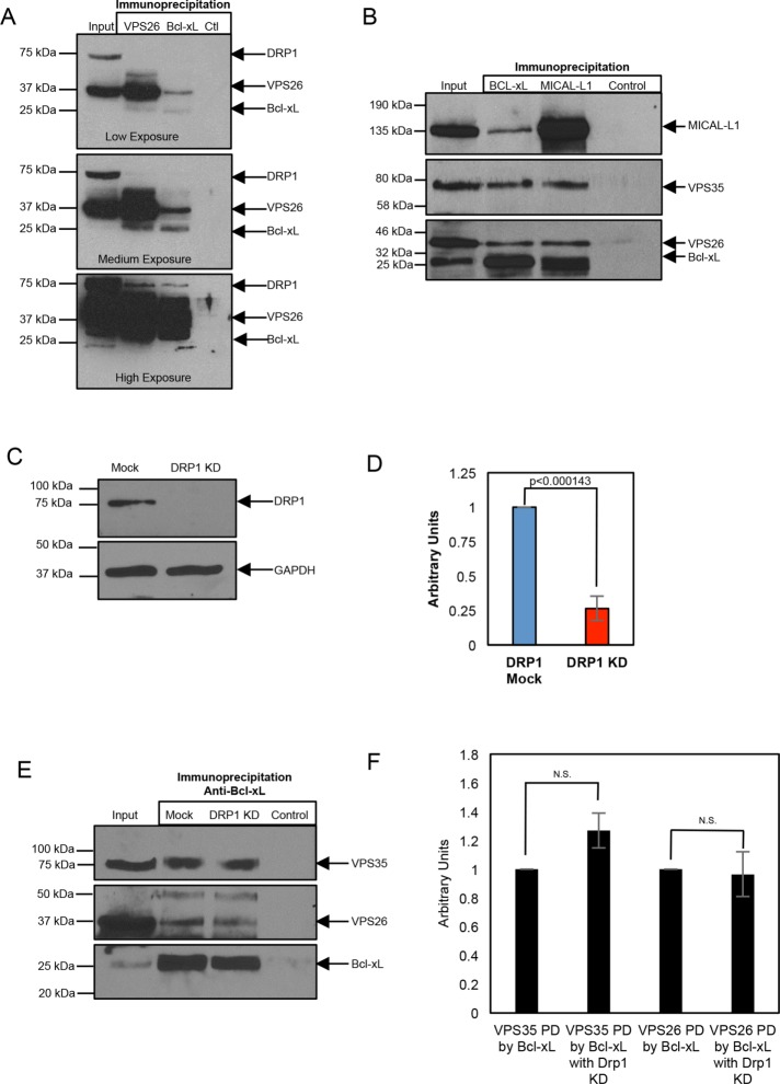 FIGURE 1: