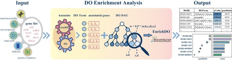 Graphical Abstract