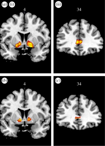 Figure 2.