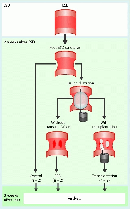 Fig. 1