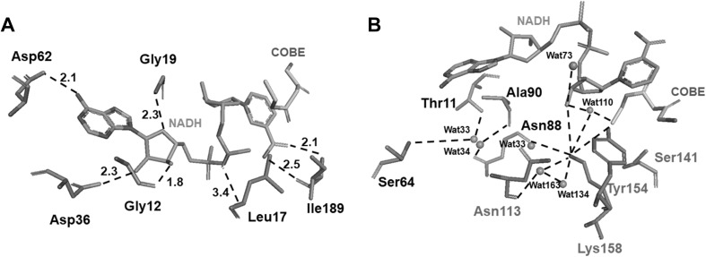 Fig. 4