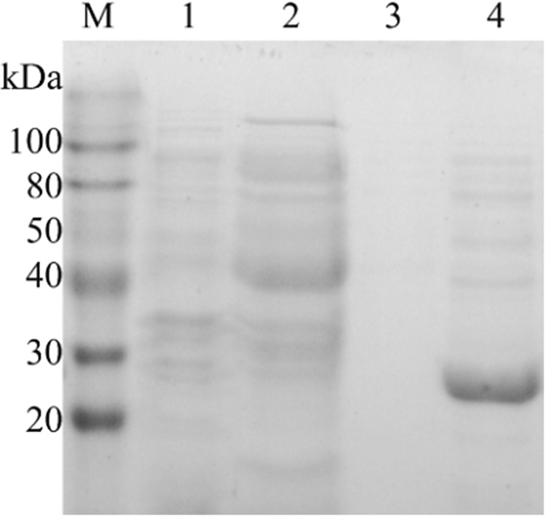 Fig. 1