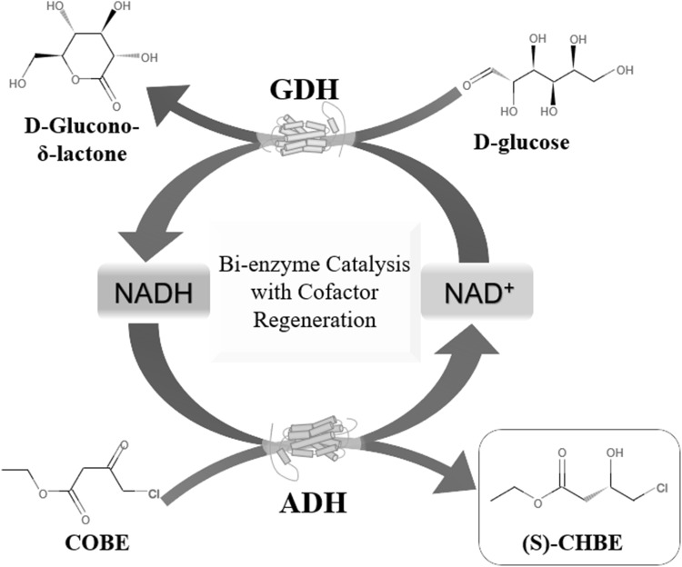 Scheme 1