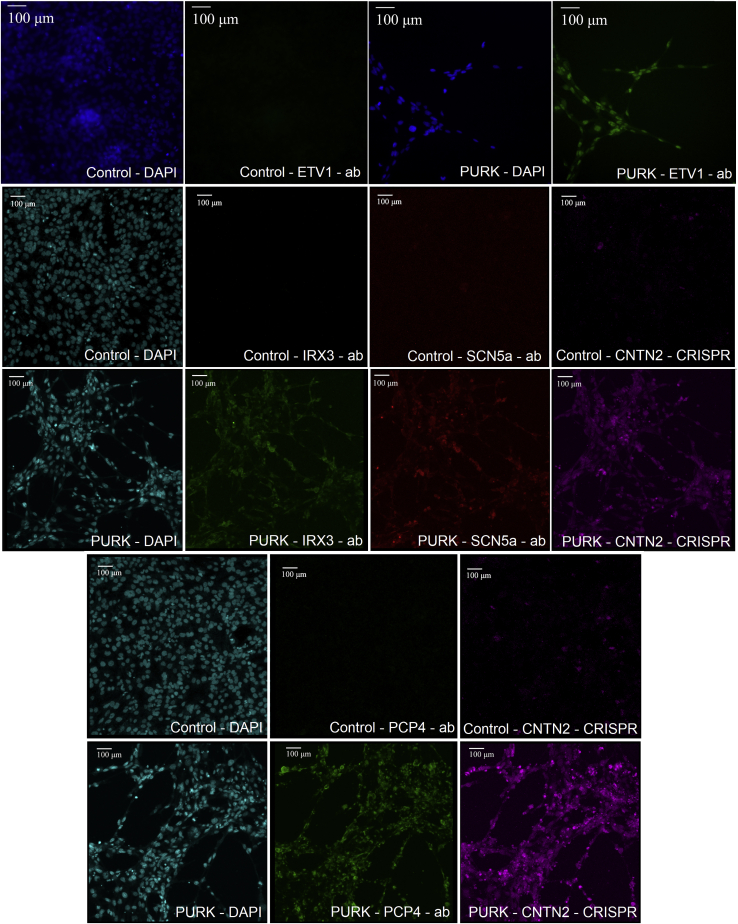 Figure 3