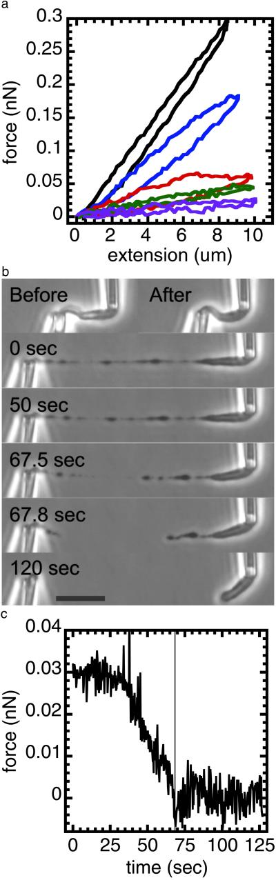 Fig 2.