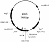 FIG. 4.
