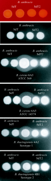 FIG. 8.