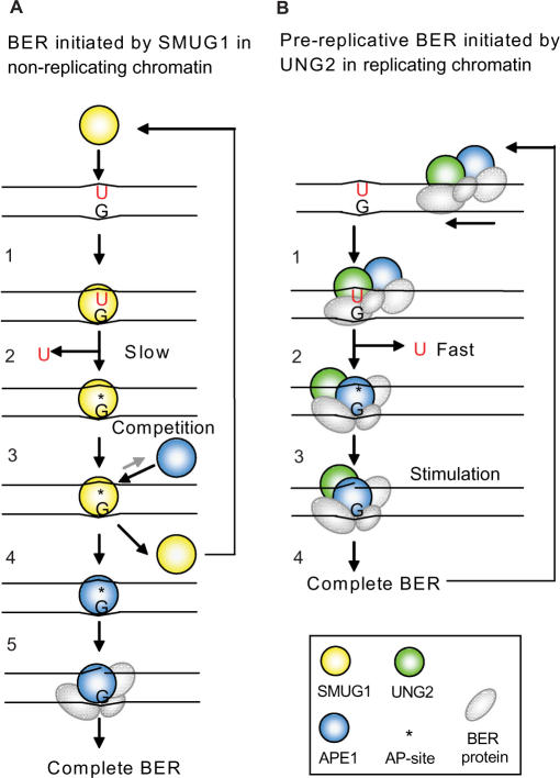 Figure 8.