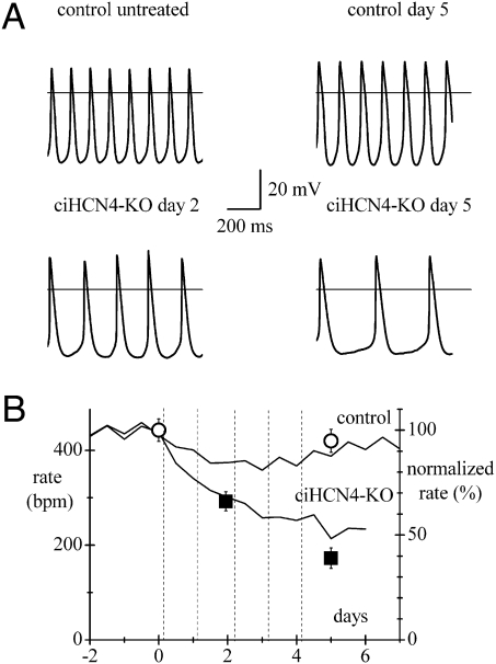 Fig. 5.