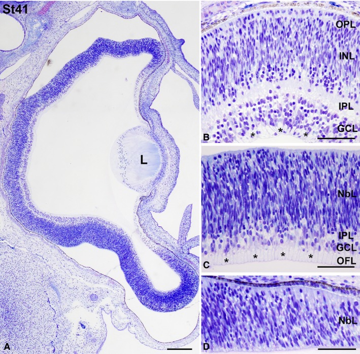 Figure 9