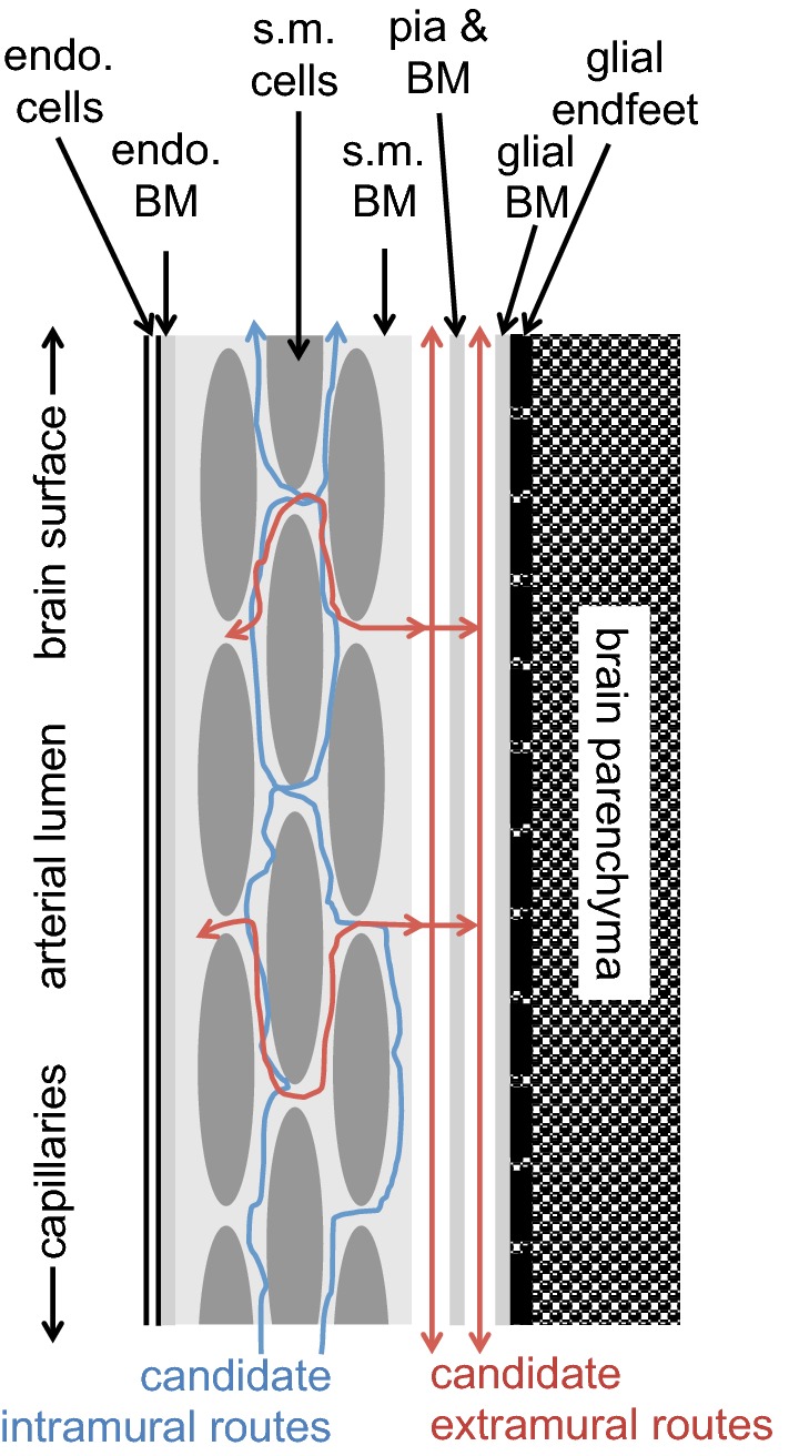 Fig. 21