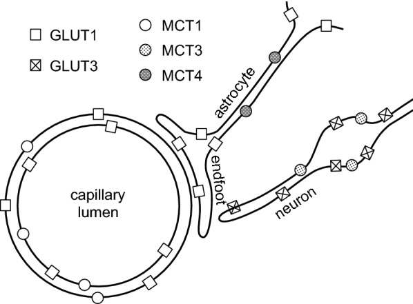 Fig. 11